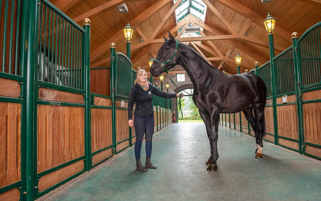 Pferdegestüt „Famos“ in Syke